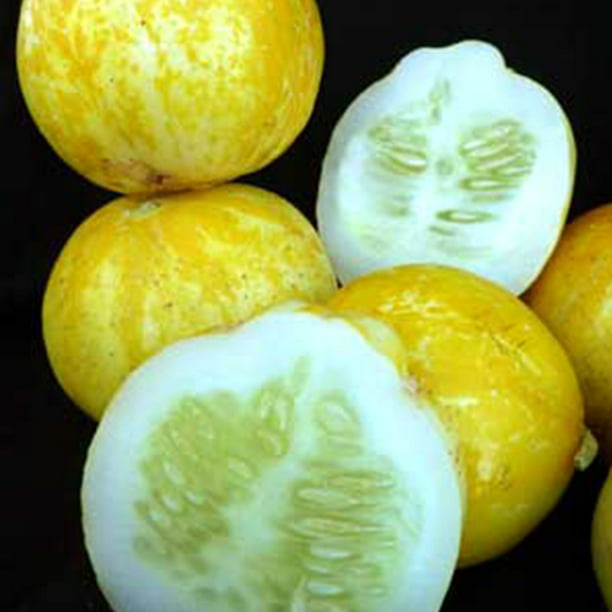 Lemon Cucumber 50 Vegetable Seeds Cucumis sativus Non-GMO Heirloom Crisp Fruit